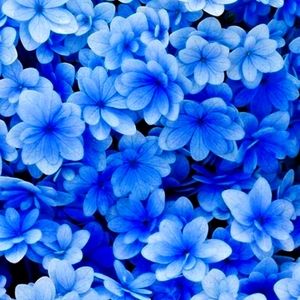 Meet your Posher, Karina